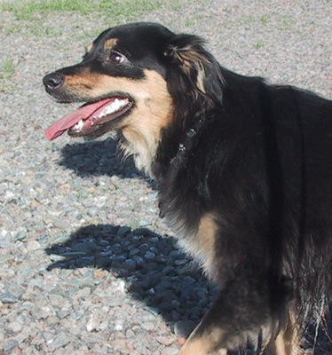 Duncan