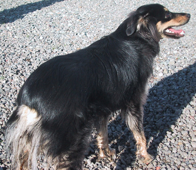 Duncan