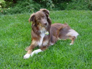 Riley