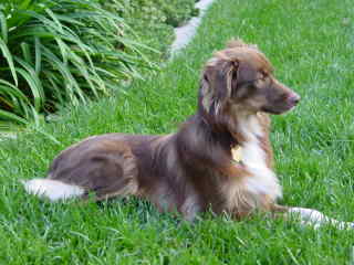 Riley
