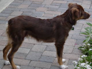 Riley