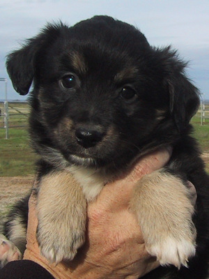 Duncan