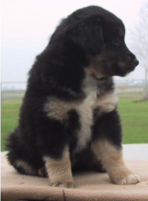 Duncan