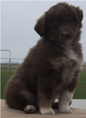 Riley