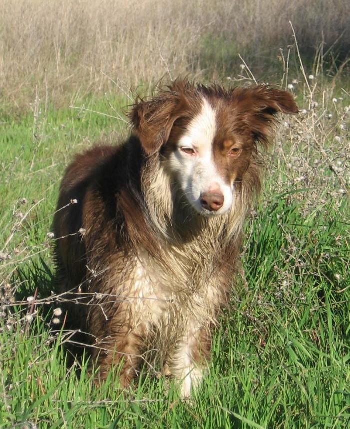Buster