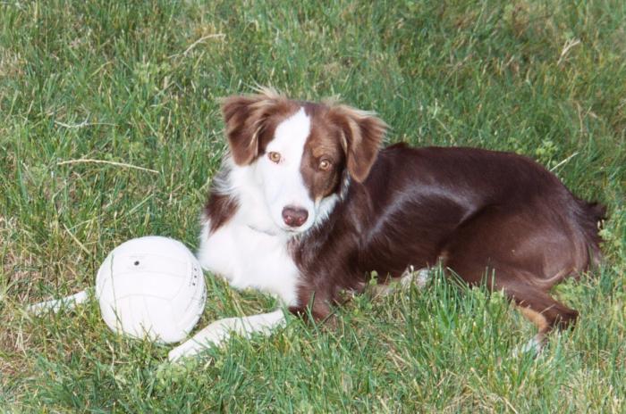 Buster
