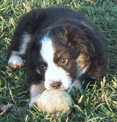 Foster