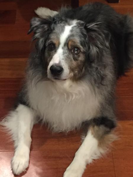 Riley