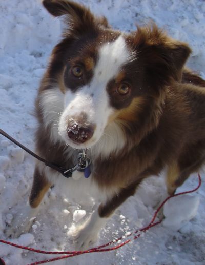 Bella