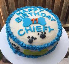 Chief