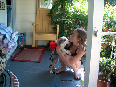 Buddie