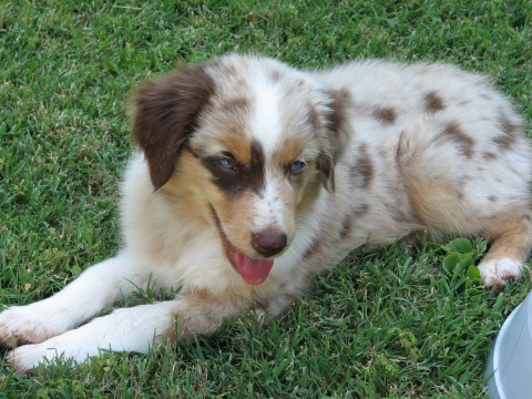 Abby