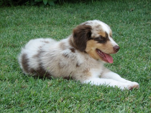 Abby