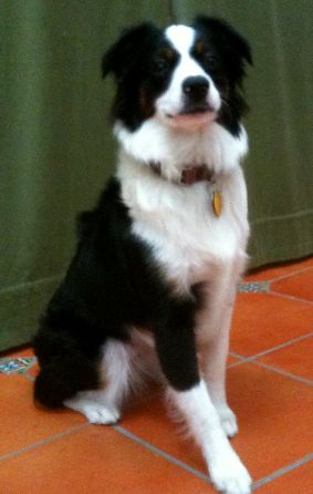 Lola