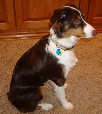 Roxie