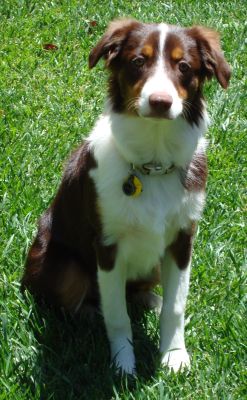 Roxie