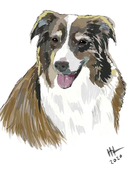 Roxie