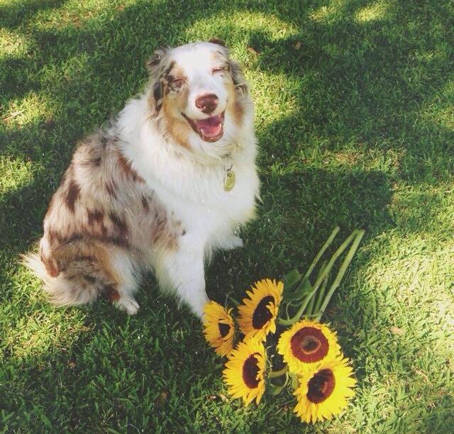 Newman