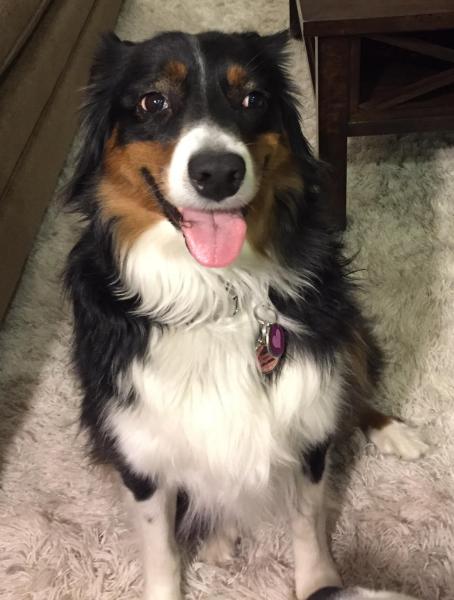 Amelia