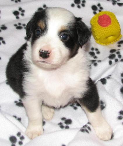 Four weeks old...