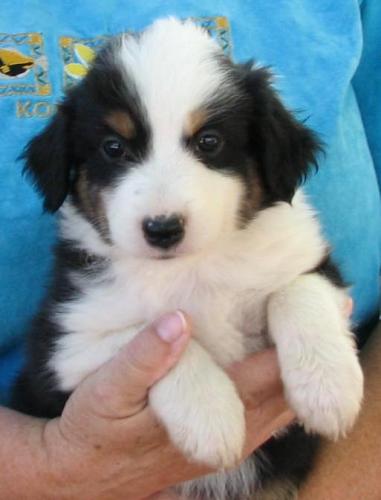 Six weeks old...