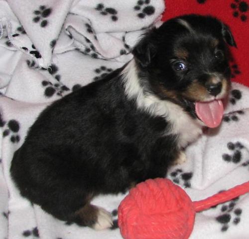 Benny