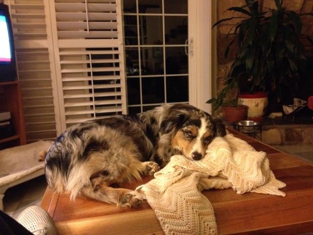 Rocky