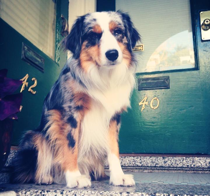 Cooper