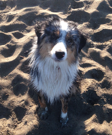 Cooper