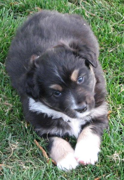 Buster