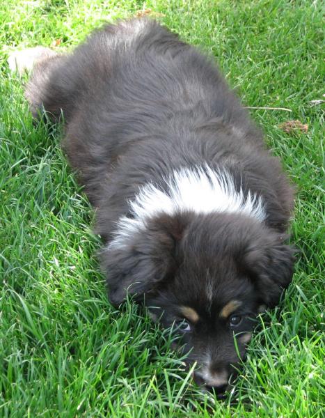 Buster