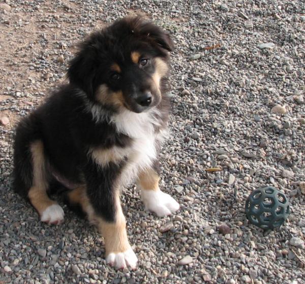 Buster