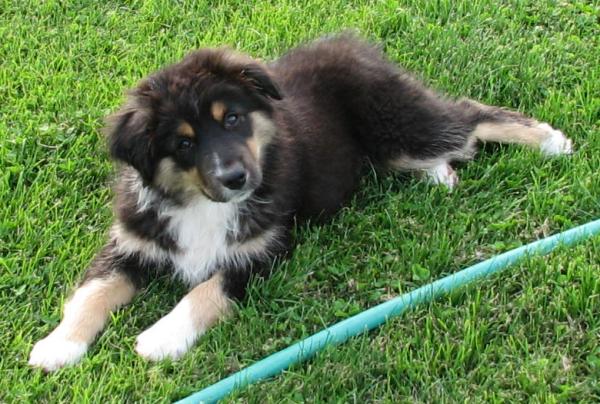 Buster