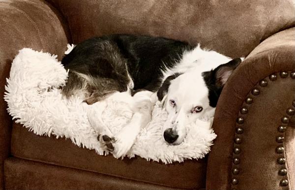 Tucker