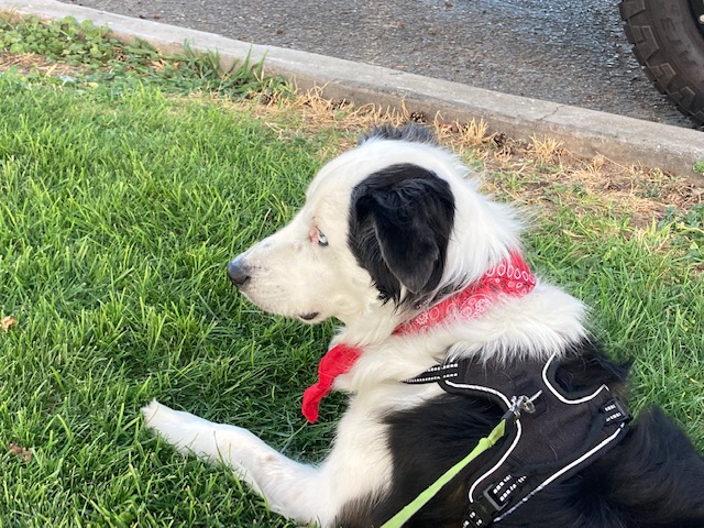 Tucker