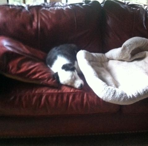 Tucker