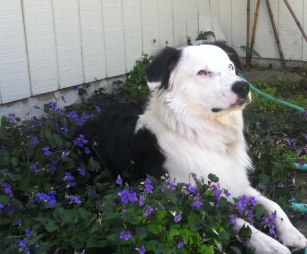 Tucker
