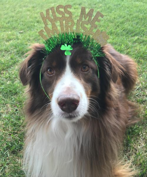 Irish