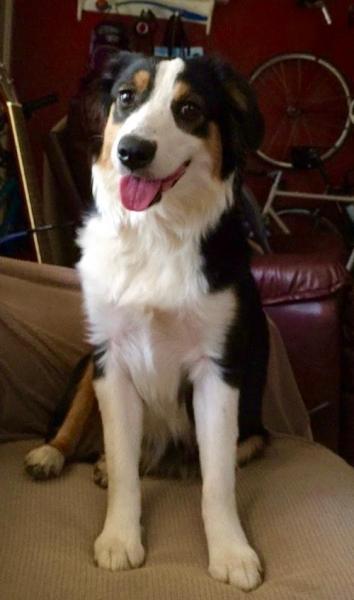 Marley