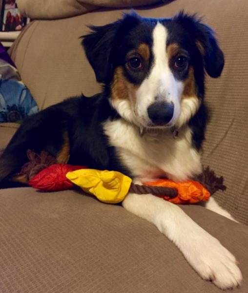 Marley