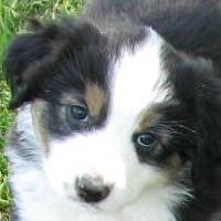 Marley