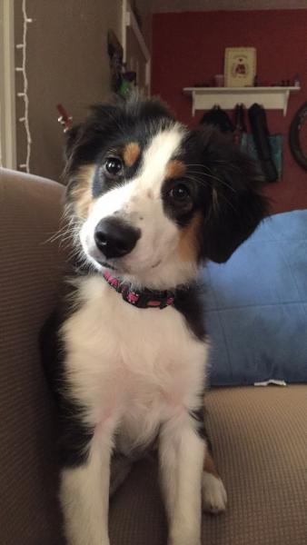 Marley