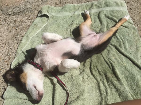 Marley