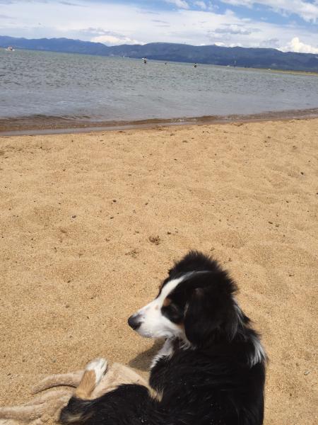 Marley