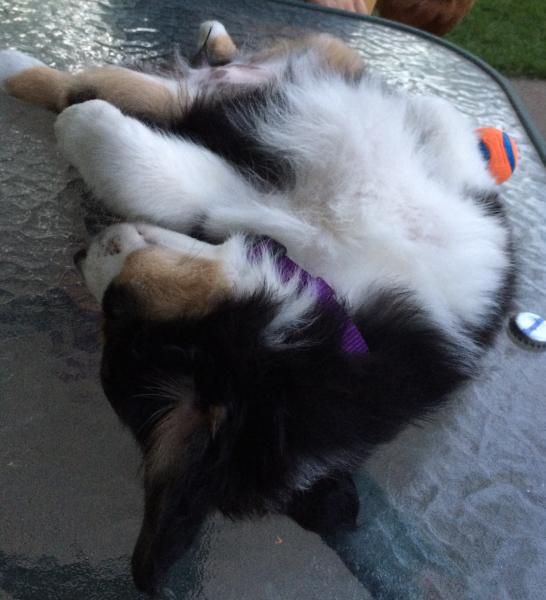Marley