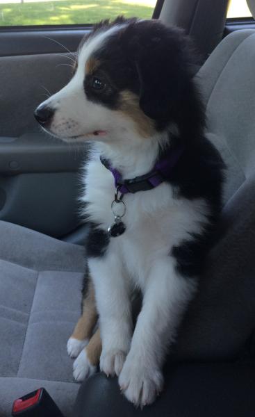 Marley