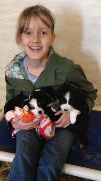 Sassy × Max litter