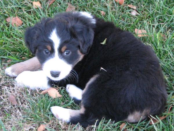Tucker