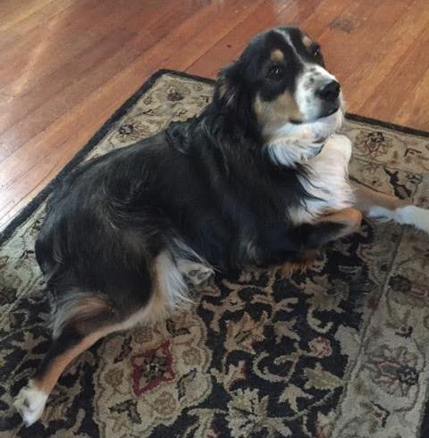 Duncan