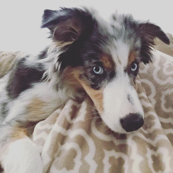 Remy